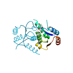 BU of 8rps by Molmil