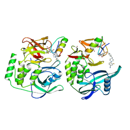 BU of 8rqc by Molmil