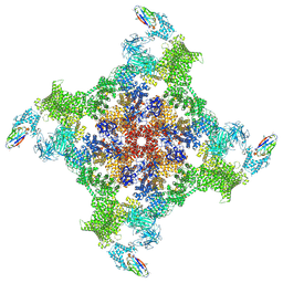 BU of 8rrs by Molmil