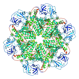 BU of 8rsb by Molmil