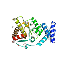 BU of 8rsi by Molmil