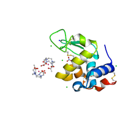 AU of 8rt3 by Molmil