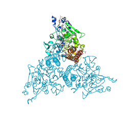 BU of 8rv0 by Molmil