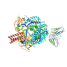 BU of 8rvn by Molmil