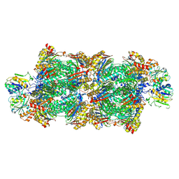 BU of 8rvp by Molmil