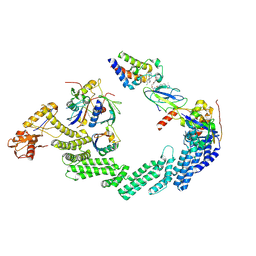 BU of 8rx0 by Molmil