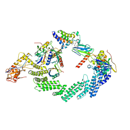 AU of 8rx0 by Molmil