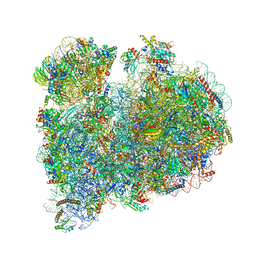 AU of 8rxh by Molmil