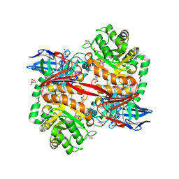 BU of 8rzh by Molmil