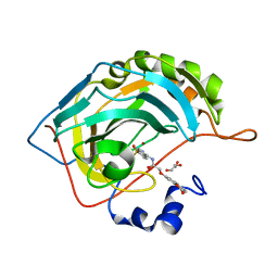 BU of 8sag by Molmil