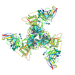 BU of 8saw by Molmil