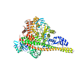 BU of 8sbc by Molmil