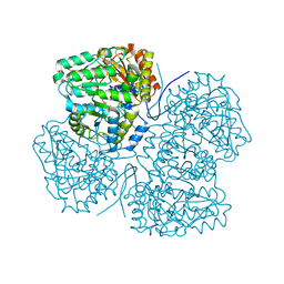 BU of 8sbg by Molmil