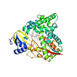 BU of 8sbi by Molmil