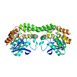 BU of 8sbq by Molmil