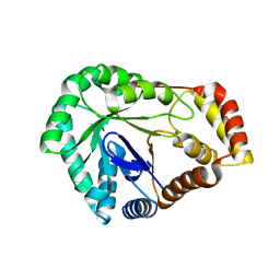 BU of 8scc by Molmil