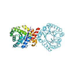 BU of 8scd by Molmil