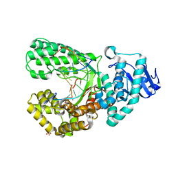 BU of 8sci by Molmil