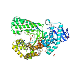 BU of 8scl by Molmil