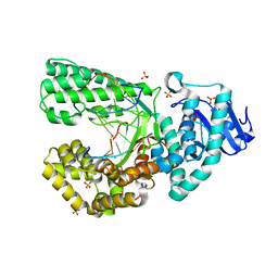 BU of 8scn by Molmil