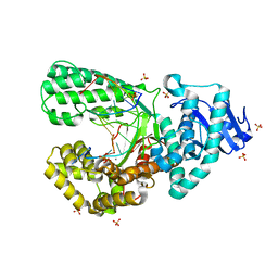 BU of 8scq by Molmil