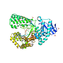 BU of 8sct by Molmil