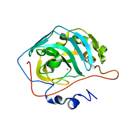 BU of 8sd1 by Molmil