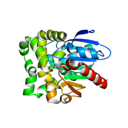 BU of 8sdd by Molmil