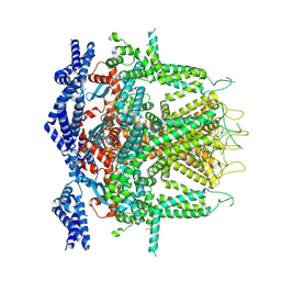 BU of 8sez by Molmil