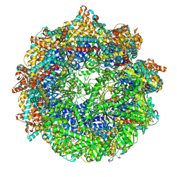 BU of 8sff by Molmil