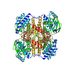 BU of 8sgp by Molmil