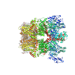 BU of 8si2 by Molmil