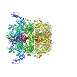 BU of 8si3 by Molmil