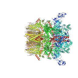 BU of 8si4 by Molmil