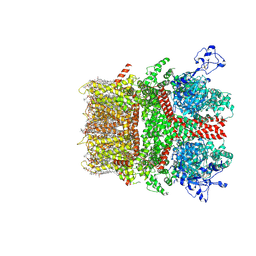 BU of 8si6 by Molmil