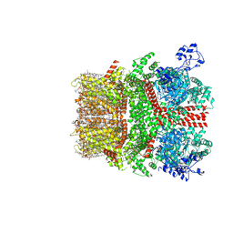 BU of 8si7 by Molmil