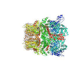 BU of 8si8 by Molmil