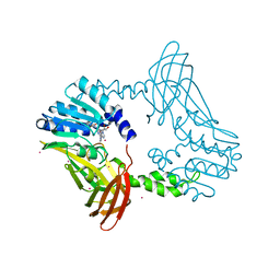 BU of 8sig by Molmil