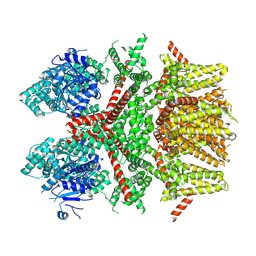 BU of 8sla by Molmil