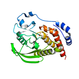 BU of 8slt by Molmil