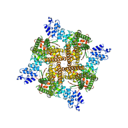 BU of 8slx by Molmil