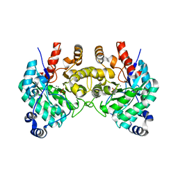 BU of 8sma by Molmil