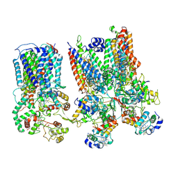 BU of 8smr by Molmil