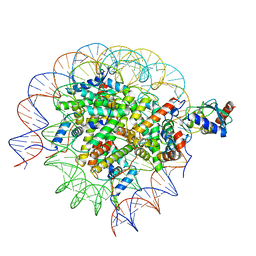 BU of 8sn2 by Molmil