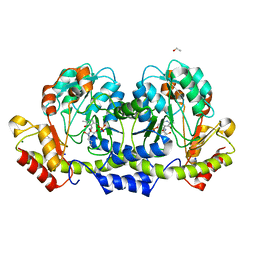 BU of 8sng by Molmil