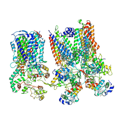 BU of 8snh by Molmil