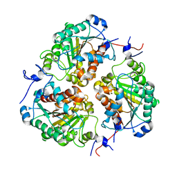 BU of 8sp2 by Molmil