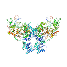 BU of 8sp3 by Molmil