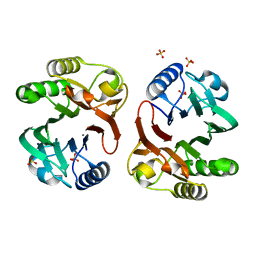 AU of 8sp5 by Molmil