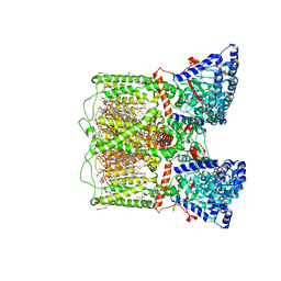 BU of 8sp8 by Molmil